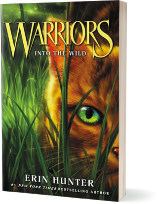 Into the Wild, 2015 US paperback cover
